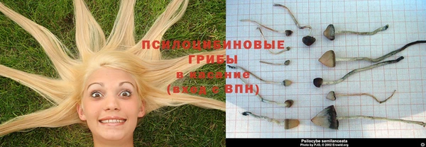 каннабис Алексин