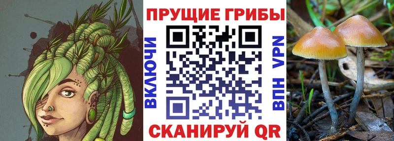 Галлюциногенные грибы ЛСД  МЕГА   Гдов 