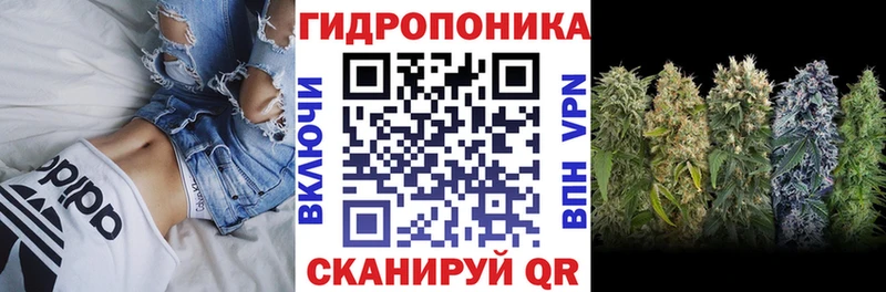 Бошки Шишки MAZAR  как найти   Гдов 